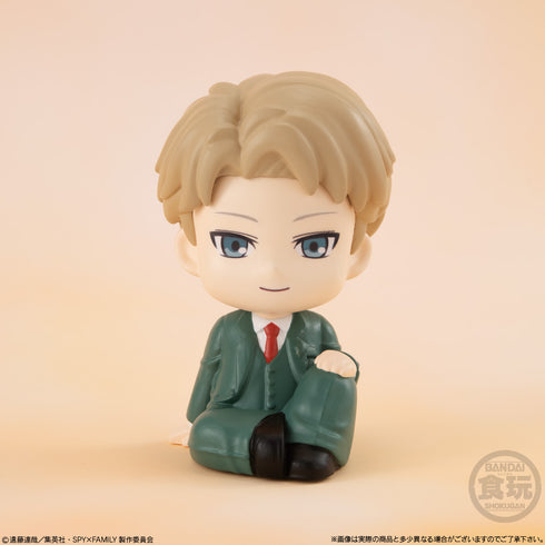 『 SPY×FAMILY』りらこっと BOX