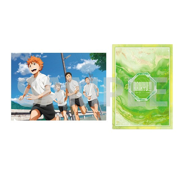 『ハイキュー!!』クリアファイル /(2)烏野高校(2)