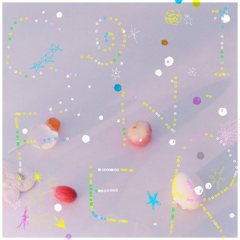 【CD】リーガルリリー/コニファー【初回生産限定盤】