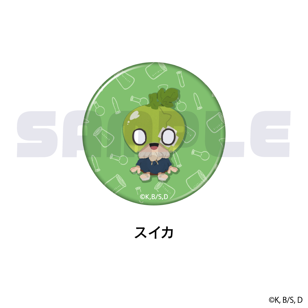 Dr.STONE』ランダム缶バッジBOX(全9種)【202508再販】 – Anime
