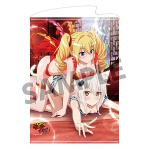 『ハイスクールD×D HERO』B2タペストリー vol.3 小猫&レイヴェル 神獣遊戯B ver.