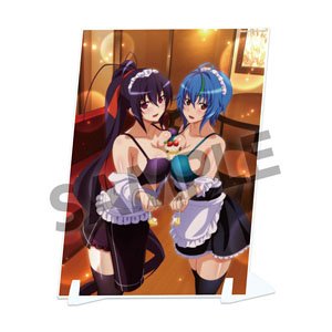 『ハイスクールD×D HERO』ビジュアルアクリルプレート vol.3 朱乃&ゼノヴィア ラヴウェイター ver.