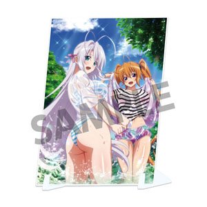 『ハイスクールD×D HERO』ビジュアルアクリルプレート vol.3 ロスヴァイセ&イリナ スプラッシュプレイ ver.