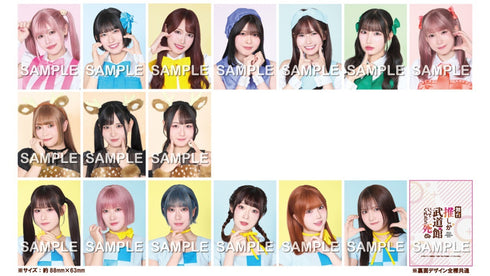 【CD】舞台『推しが武道館いってくれたら死ぬ』【ステライツ ver.】