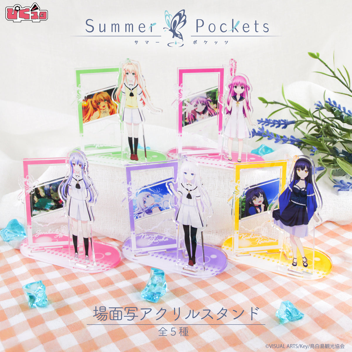 Summer Pockets 5th ウォールアクリルプレート(久島 鴎) Amazon.co.jp: Summer Pockets 5th ウォールアクリルプレート