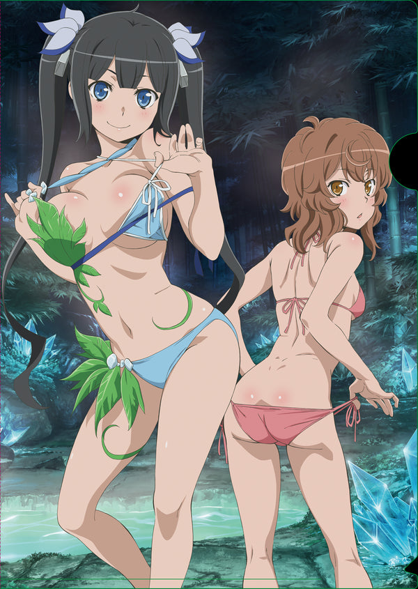 『ダンジョンに出会いを求めるのは間違っているだろうかIV』クリアファイル【ヘスティア&リリルカ・アーデ】