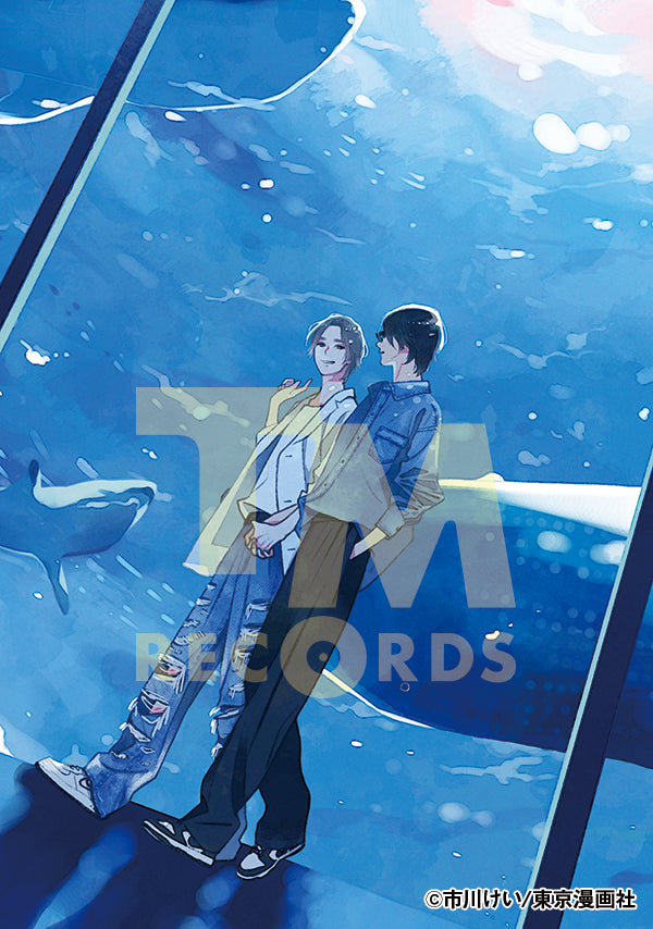 【CD】インディゴブルーのグラデーション 3