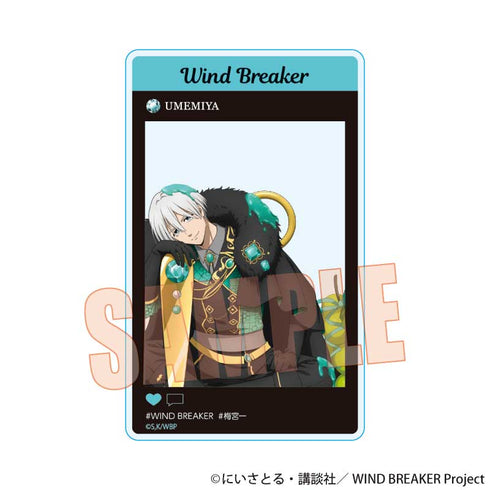 『WIND BREAKER』トレーディングアクリルカード /ドルチェ【BOX】