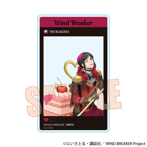 『WIND BREAKER』トレーディングアクリルカード /ドルチェ【BOX】