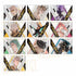 『TO BE HERO X』トレーディング箔押しブロマイド【BOX】