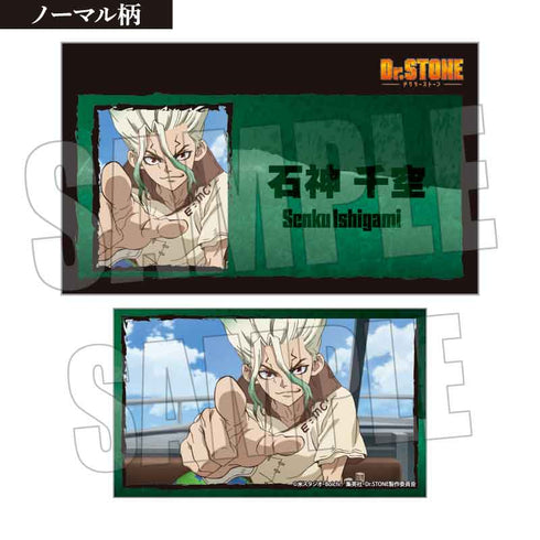 《Dr.STONE》收藏名片【盒裝】