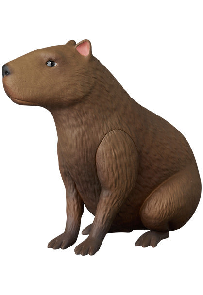 《UDF FLOW》Capybara