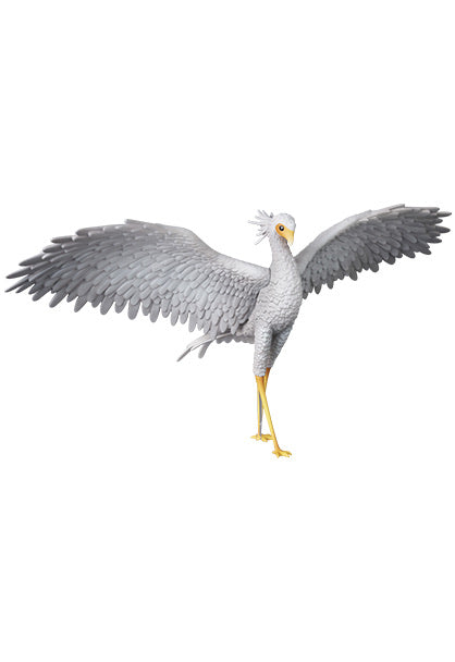 《UDF FLOW》Secretarybird