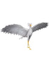 《UDF FLOW》Secretarybird
