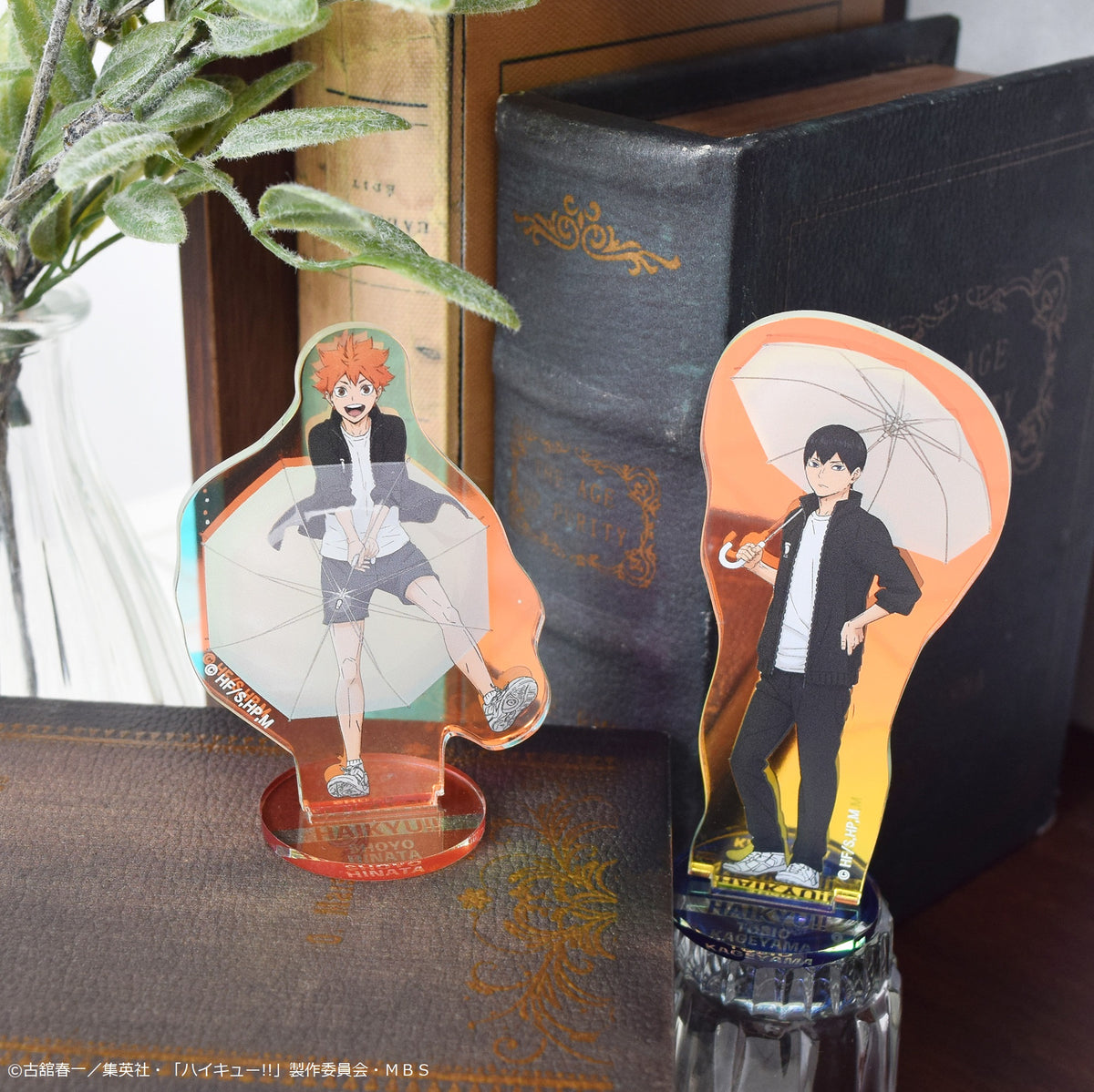 ハイキュー!!』オーロラアクリルスタンドrain(影山飛雄) - Anime Store.JP
