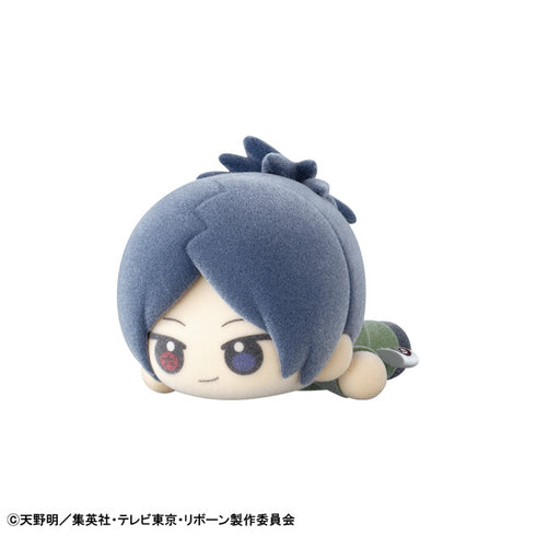 『家庭教師ヒットマンREBORN!』ぬいっぽ【BOX】