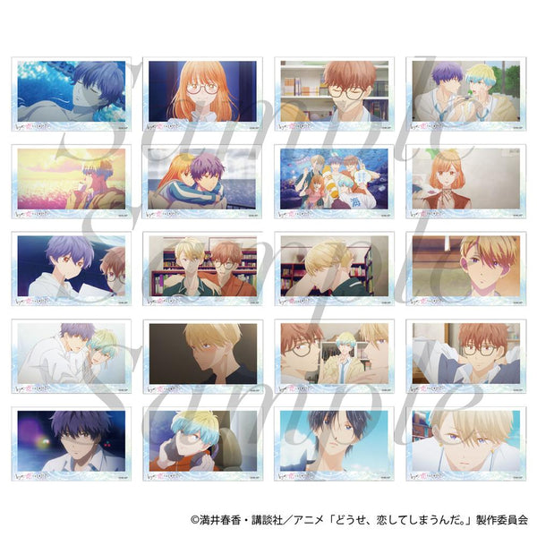 『どうせ、恋してしまうんだ。』トレーディング場面写フォトコレクション【BOX】