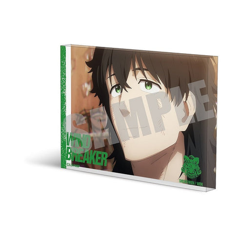 『WIND BREAKER』アクリルブロック 十亀 条 作中場面写ver.