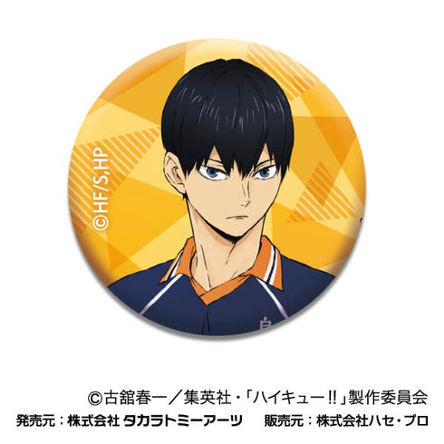 『ハイキュー!!』あれこれぷちCANバッジ Vol.2 烏野高校BOX【202409再販】