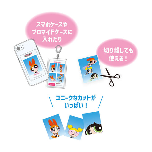 『パワーパフガールズ』シークレット証明写真風スマロイド【BOX】