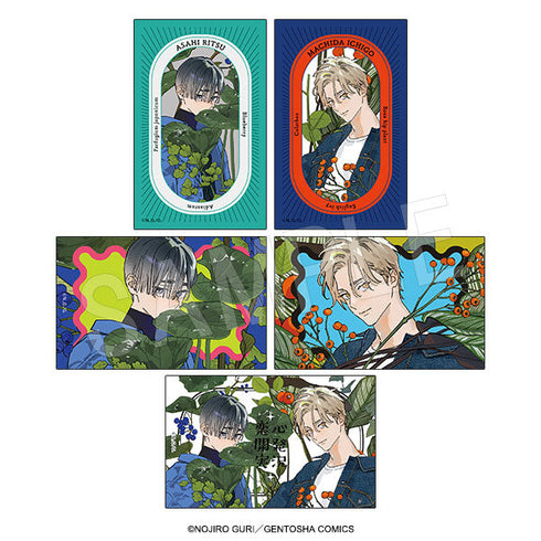 『恋心開発実況』トレーディングイラストカード garden Ver.【BOX】