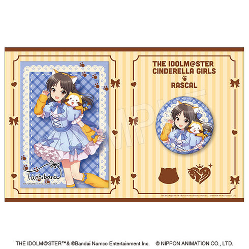 《偶像大师 灰姑娘女孩×拉斯卡尔》全息徽章&插画卡套装 橘爱丽丝