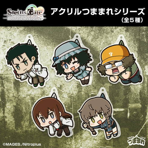 『STEINS;GATE シュタインズ・ゲート』STEINS;GATE 牧瀬紅莉栖 アクリルつままれ