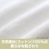 『江戸前エルフ』描き下ろし エルダ 120cmビッグタオル 御祭神Ver.