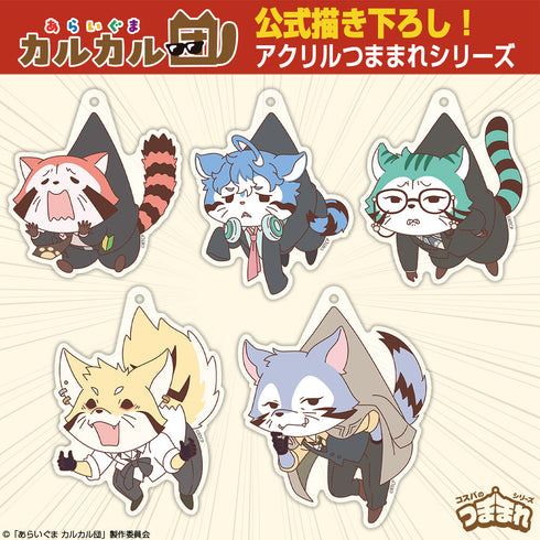 『あらいぐま カルカル団』ミドル アクリルつままれ