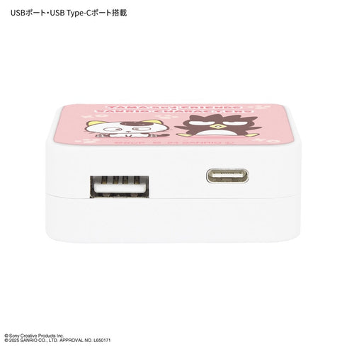 "Tama & Friends × Sanrio Characters" USB/USB Type-C AC Adapter: Hangyodon