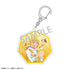 『NARUTO-ナルト‐疾風伝』トレーディングアクリルキーホルダー/少年期×アニマル/カミアニTOUCH【BOX】