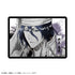 『BLEACH 千年血戦篇』Picharm/カミアニTOUCH2【BOX】