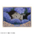 《xxxHOLiC》Picharm/卡米亚尼TOUCH【BOX】