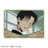 《xxxHOLiC》Picharm/卡米亚尼TOUCH【BOX】