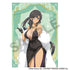 《忍者大师 闪乱神乐 NEW LINK》单张透明文件夹 焔 晚礼服