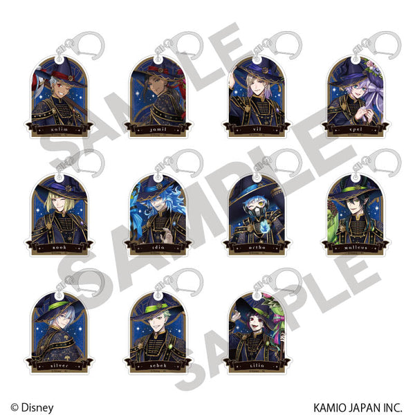 『ディズニー ツイステッドワンダーランド』トレーディングアクリルキーホルダーvol.2 ブルームバースデー【BOX】