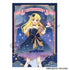 『アイカツ!』トレーディンブロマイド 星空ドレス【BOX】