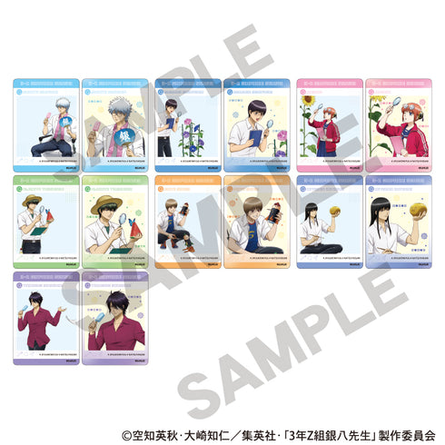 『3年Z組銀八先生』トレーディングパノラマイド 自由研究【BOX】
