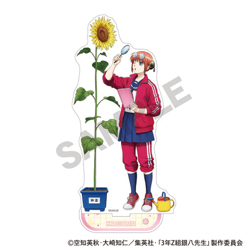 《3年Z班银八老师》亚克力立牌 神乐 自由研究