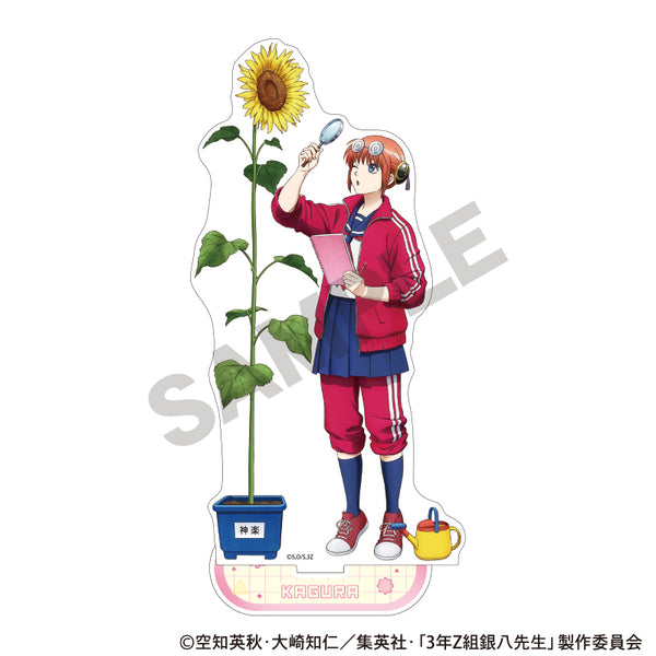 《3年Z班银八老师》亚克力立牌 神乐 自由研究