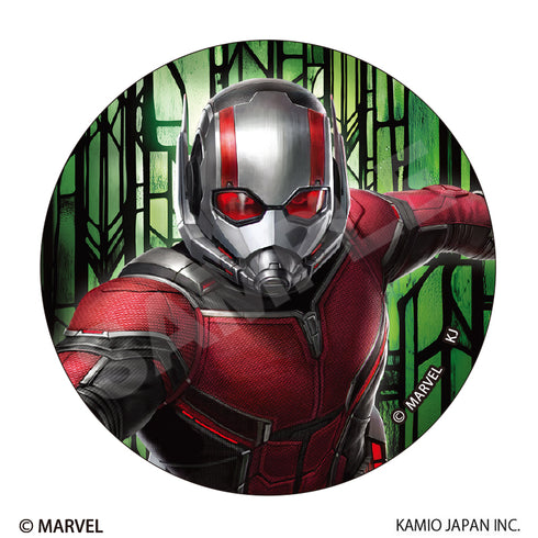 『アベンジャーズ/ドゥームズデイ』シークレットメタル缶バッジ【BOX】