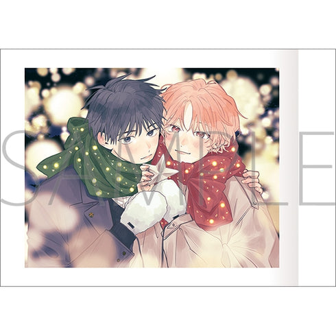 《若與你相戀》Pashacore【BOX】