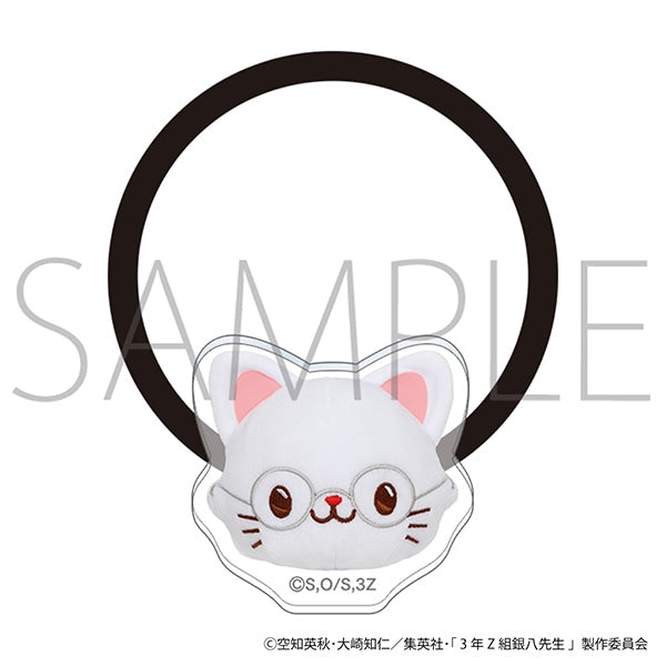 『3年Z組銀八先生』withCAT photograph Ver.ヘアゴム/志村新八