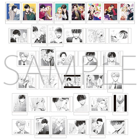 『踏んだり、蹴ったり、愛したり』ぱしゃこれ【BOX】