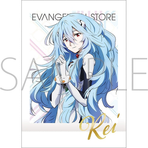 『ヱヴァンゲリヲン新劇場版』ぱしゃこれ【BOX】