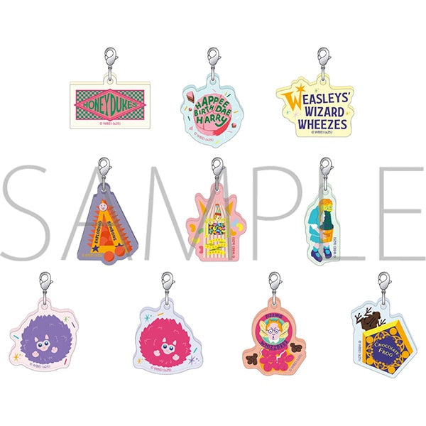 『ハリーポッター』アクリルチャームコレクション【BOX】