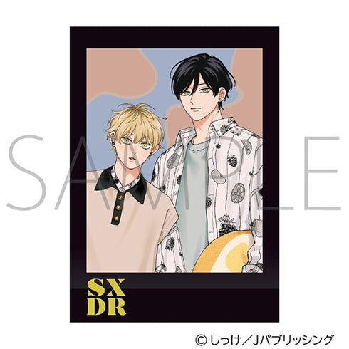 『セックスドロップ』ぱしゃこれ【BOX】