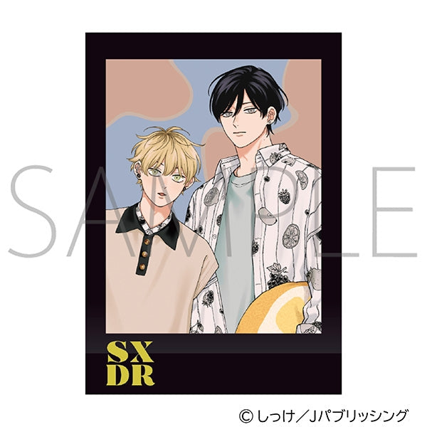 『セックスドロップ』ぱしゃこれ【BOX】