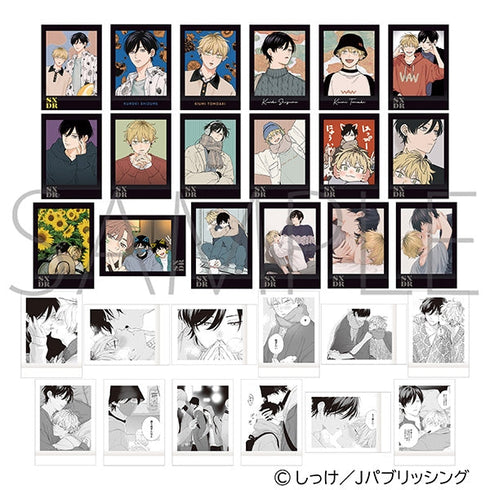 『セックスドロップ』ぱしゃこれ【BOX】