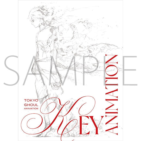 『東京喰種トーキョーグール』設定資料集&原画集コンプリートセット
